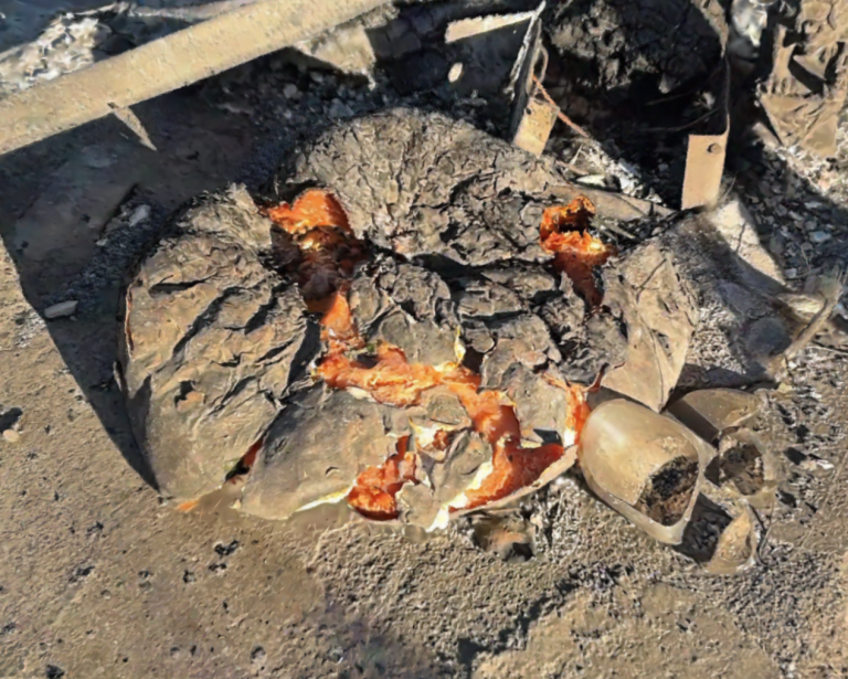 Burned Pumpkin – Palisades Bluffs